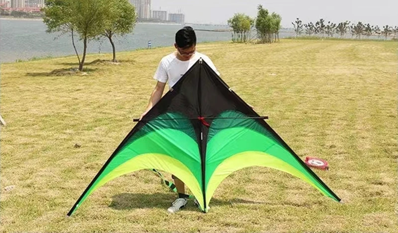 2m großer Delta-Drachen zum Fliegen im Freien, Sport-Drachen mit Schnur, Outdoor-Spielzeug für Kinder, Wind-Drachen, Kinder-Kitesurfen, Koi – Detail 11