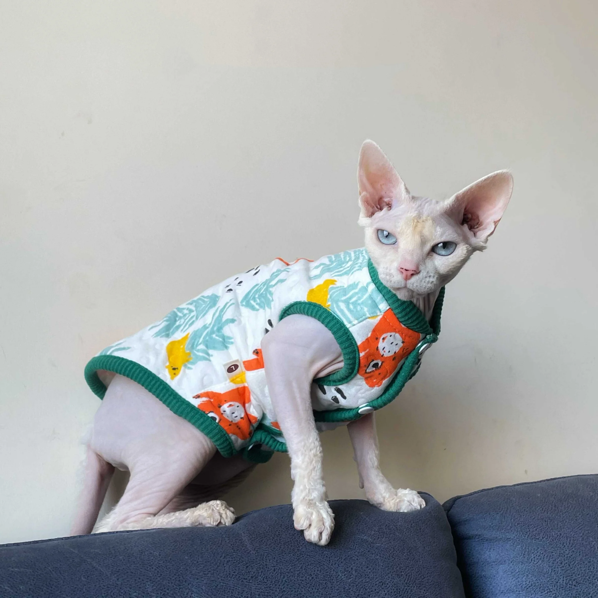 스핑크스 고양이용 부드러운 면 조끼, 새끼 고양이용 겨울 따뜻한 가디건, 가을 데본 렉스용 귀여운 민소매 코트, 면 패딩 처리