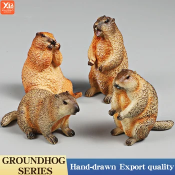 Animali selvatici Simulazione Roditore Marmotta Modello Action Figure Collezione di figurine Simpatico giocattolo per bambini