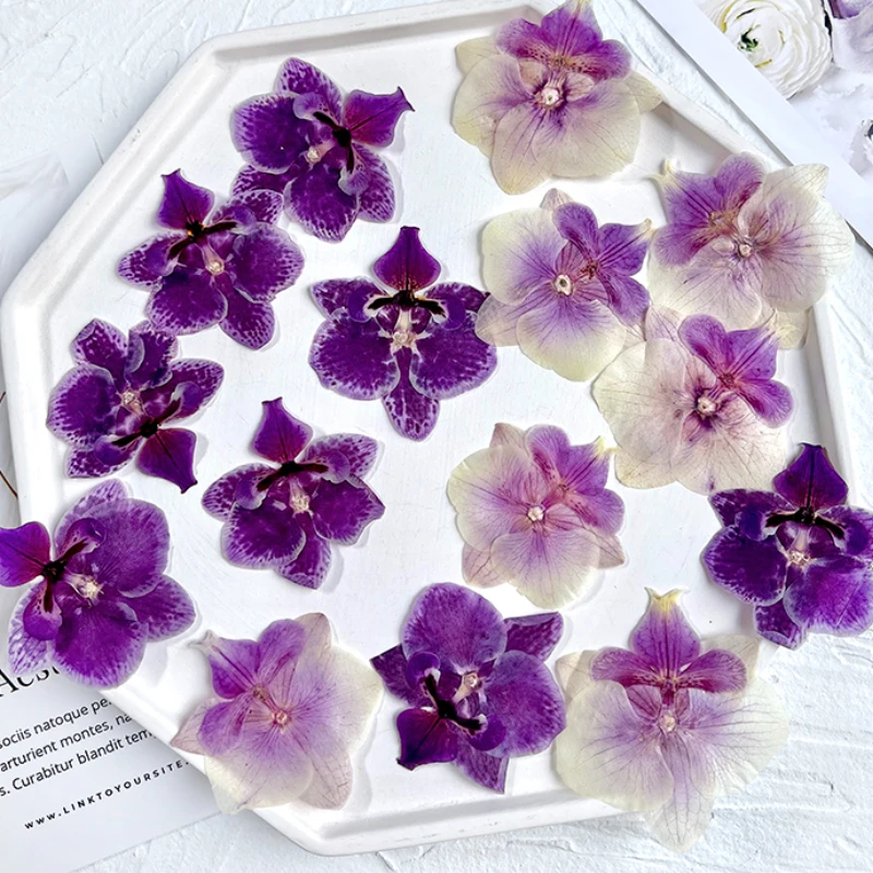 

3-6cm/4pcs,nature butterfly orchid pressed flowerpetals,real dry flower DIY desk lamp frame drip glue bookmark decor stickers