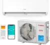 12,000 BTU Ductless Mini Split Inverter AC with Heat Pump, 22 SEER2, 115V, WiFi-Enabled, Cools up to 750 Sq.Ft, Energy Star 1