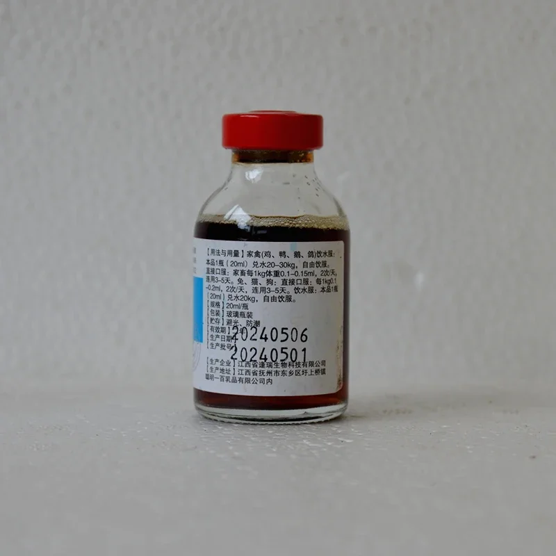 Pigeon Disease Treatment Poultry and livestock general chicken duck goose Newcastle disease head down closed eyes wings droop cattle and sheep spirit