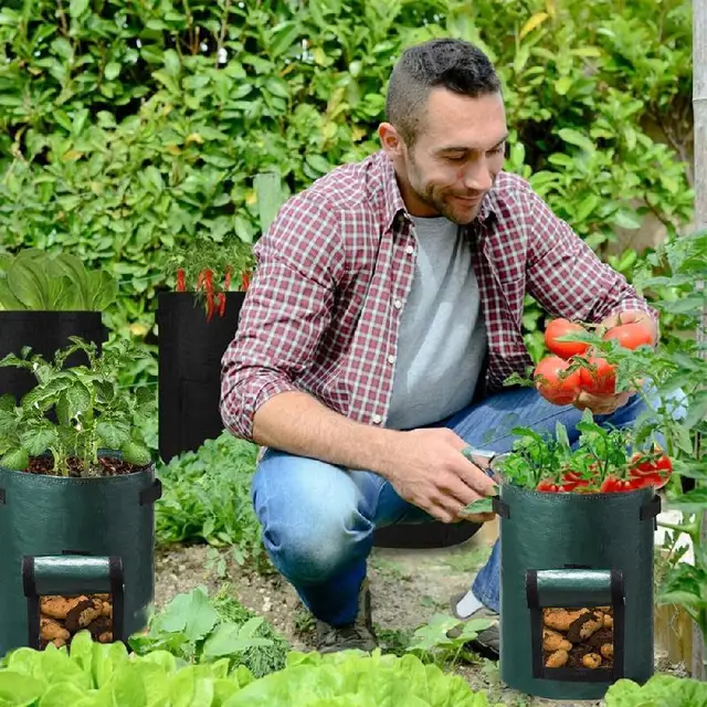 Uyangg Burgonya Termesztési Táskák Pe Zöldség Ültetvényes Táska Diy Szövet Termesztett Kerti Edények Szerszámok Vegetabert 3/5/7/10 Gallon - Image 3