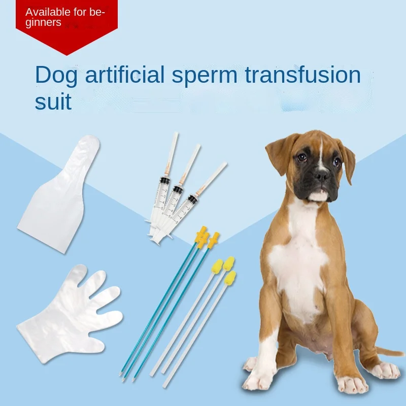 Dogartificialinseminationandinseminationdoginsemination