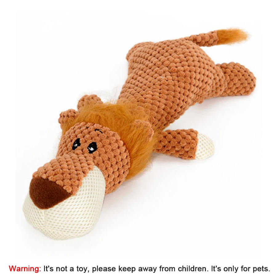 lion