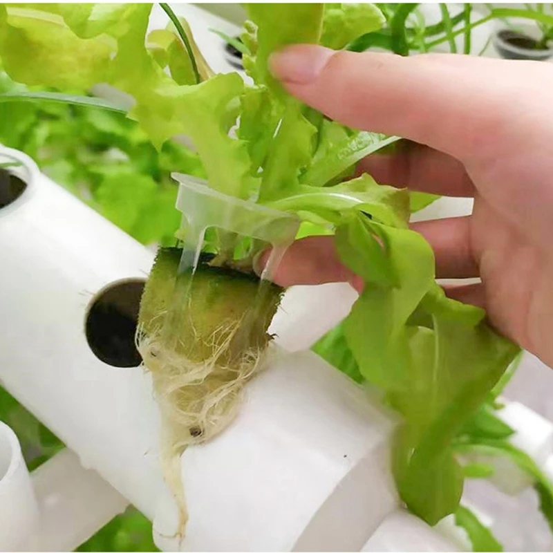 Soilless Cultivation Planting Basket Balcony Veg Hydroponic Colonization Cup Multi-Size Aeroponics Plastic Grow Mesh Pot 50Pcs