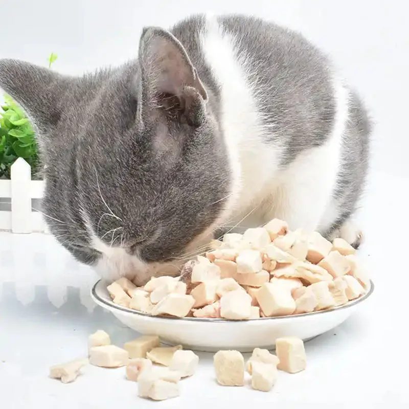 Lowest price cat food for young, middle and adult