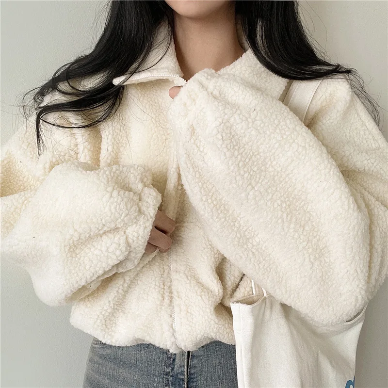 Frauen Herbst Winter Warme Faux Lamm Wolle Mantel Fleece Stehkragen Kurze Jacke Plüsch Dicke Oberbekleidung Zipper Streetwear Mantel – Detail 14