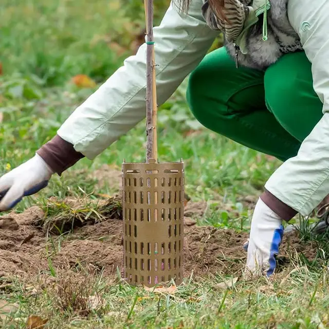 Szellőztetett Fa Csomagtartó Védővédő Kibővíthető Növényvédők A Kéreg Csemete És Szőlőfák Köréje - Image 4