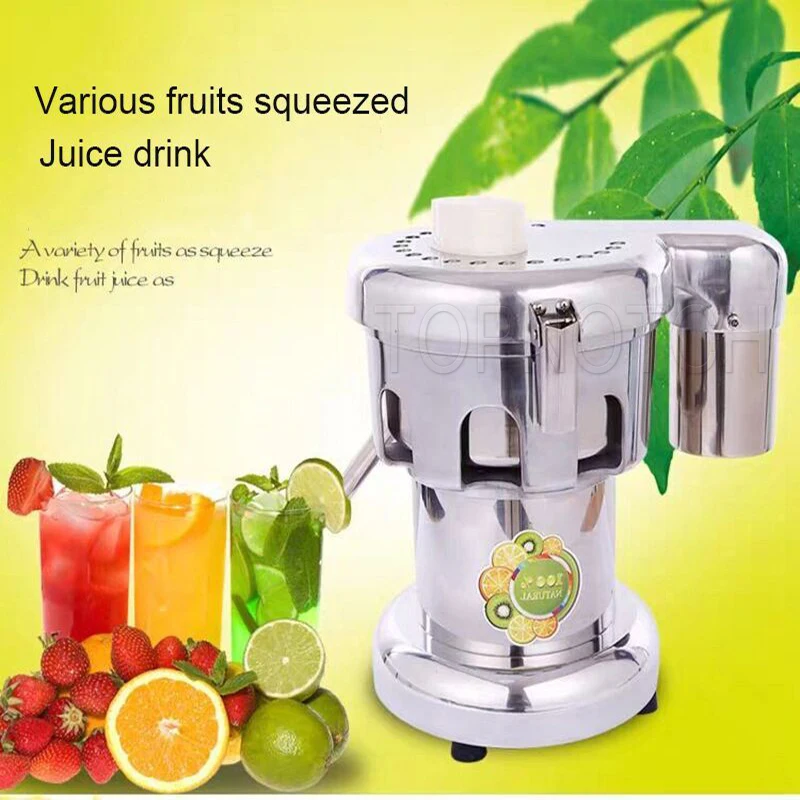 Electric Professional Slow Juicer Extractor Machine For Fruit Orange Squeezer Juicer Blender Stainless Steel 2