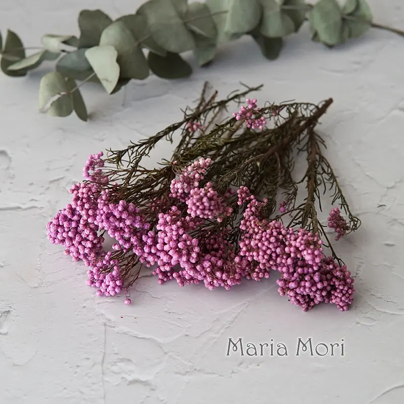 Elegant Preserved Rice Flower for Home and Office Decor – Ideal for DIY Crafts and Handmade Candle Projects