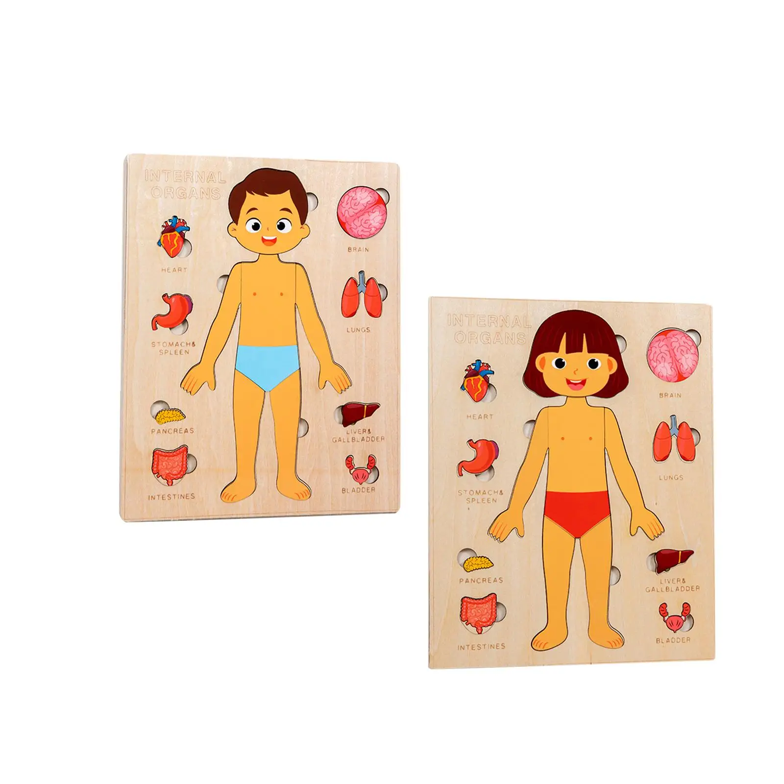 

Wooden Human Body Puzzle Game Jigsaw Board Removable Organ Development Toy Preschool Game Body Organ Awareness for Holiday Gift