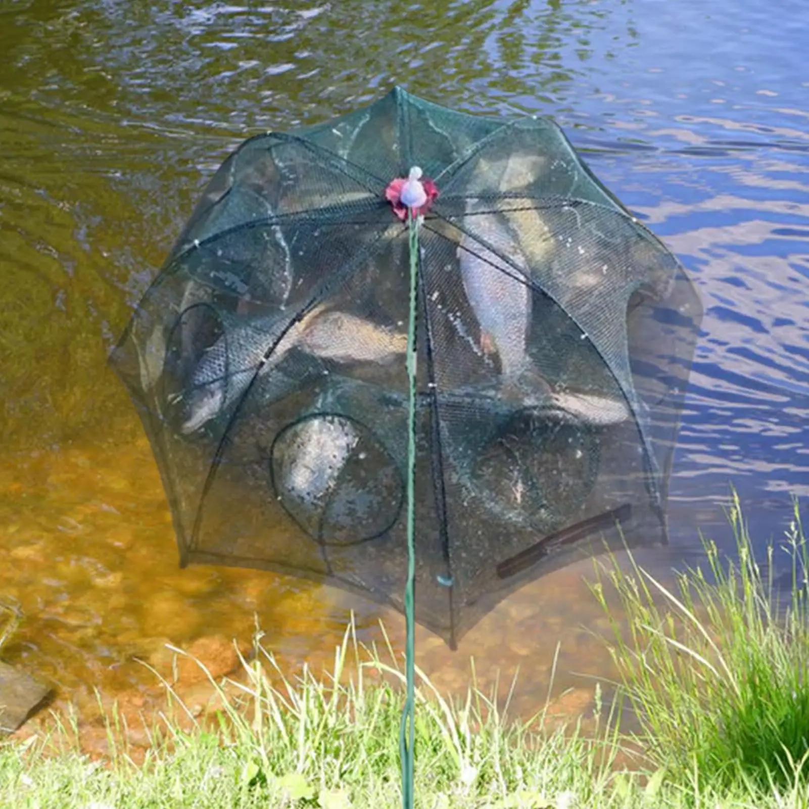 Slide image 3f1f579a9a9b42aa8bdb4f2d30d1bdc7