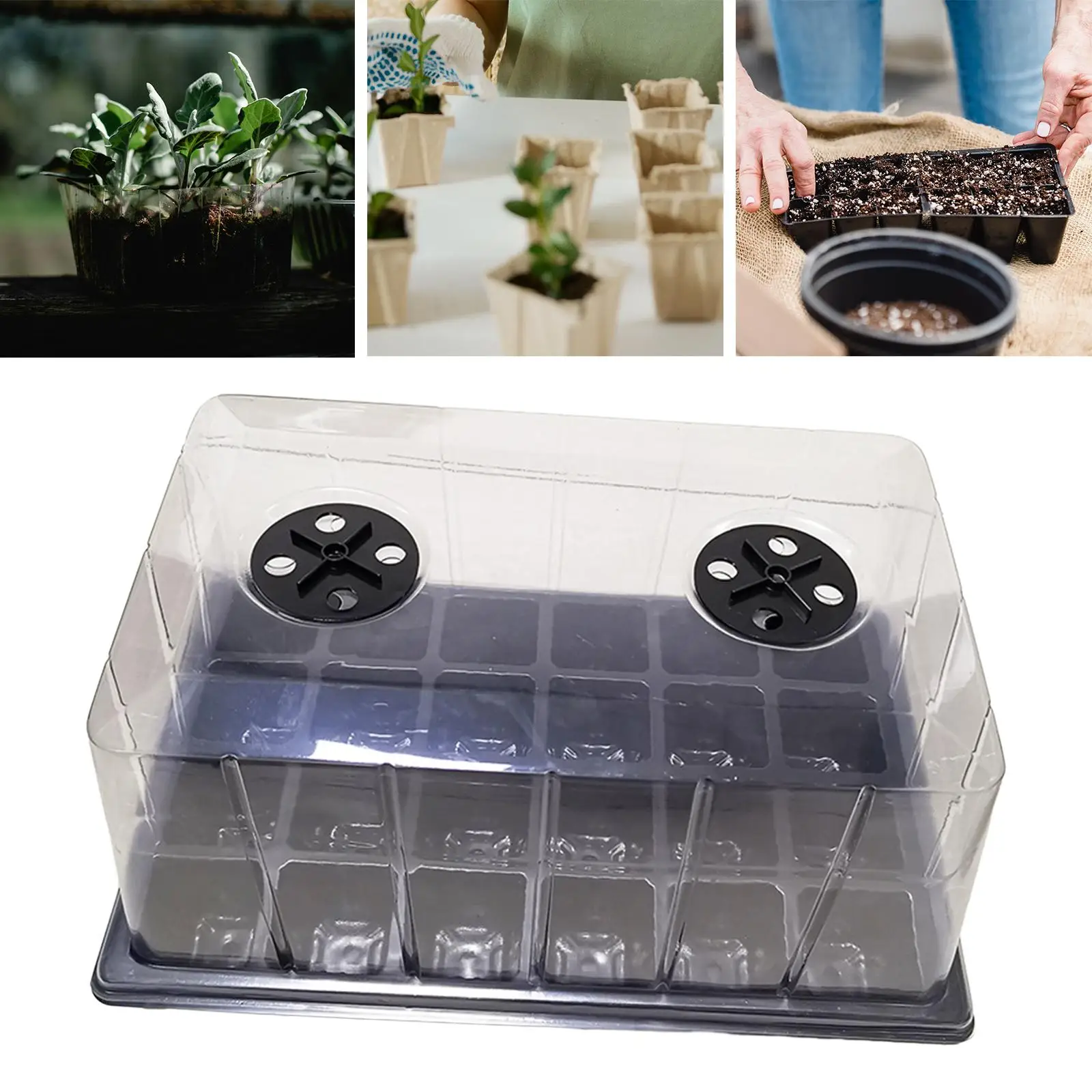 Nursery Seedling Tray with Ventilation Holes with Holes Seedling Starter Trays for Greenhouse Fruit Seeds Growing Vegetable