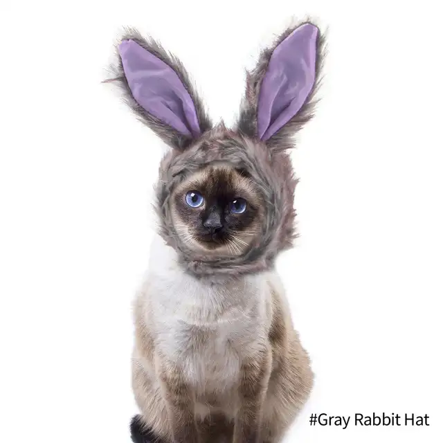 Gray Rabbit Hat