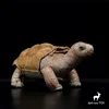 Galapagos Tortoise High Fidelity Anime Cute Plushie Turtles Plush Toys Lifelike Animals Simulation Stuffed Doll Kawai Toy Gifts 1