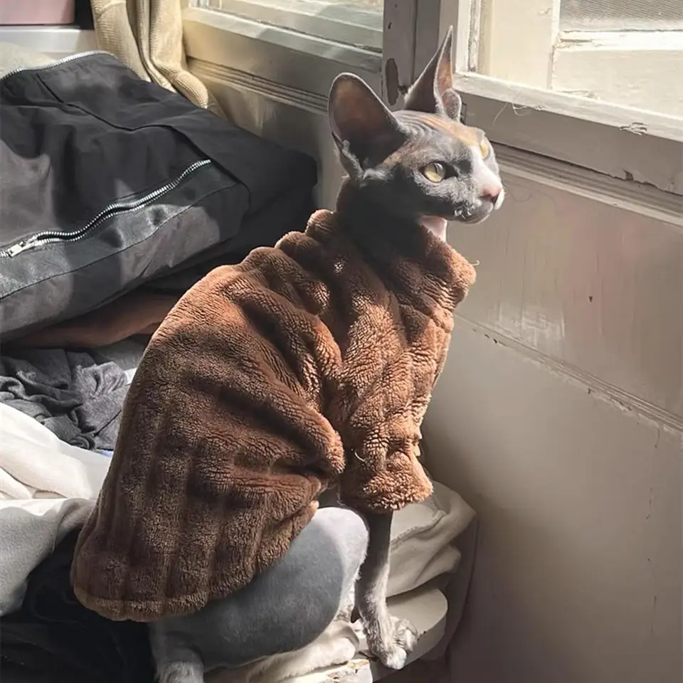 Suéter de gola alta para gato Sphynx, roupas grossas de lã coral macia para  gatos, roupa quente de inverno para gatos sem pêlos com mangas - AliExpress, image size:960x960