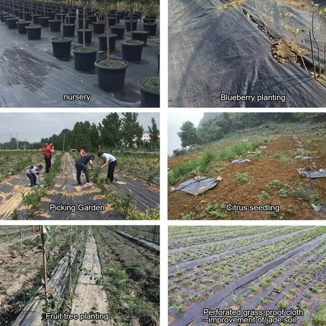 Tájszövet 5 Láb X 30 Kerti Alsó Rész Nagy Teherbírású Gyomnövény Könnyű Beállítás Talajtakaró Szőnyeg Kültéri Kerthez - Image 4