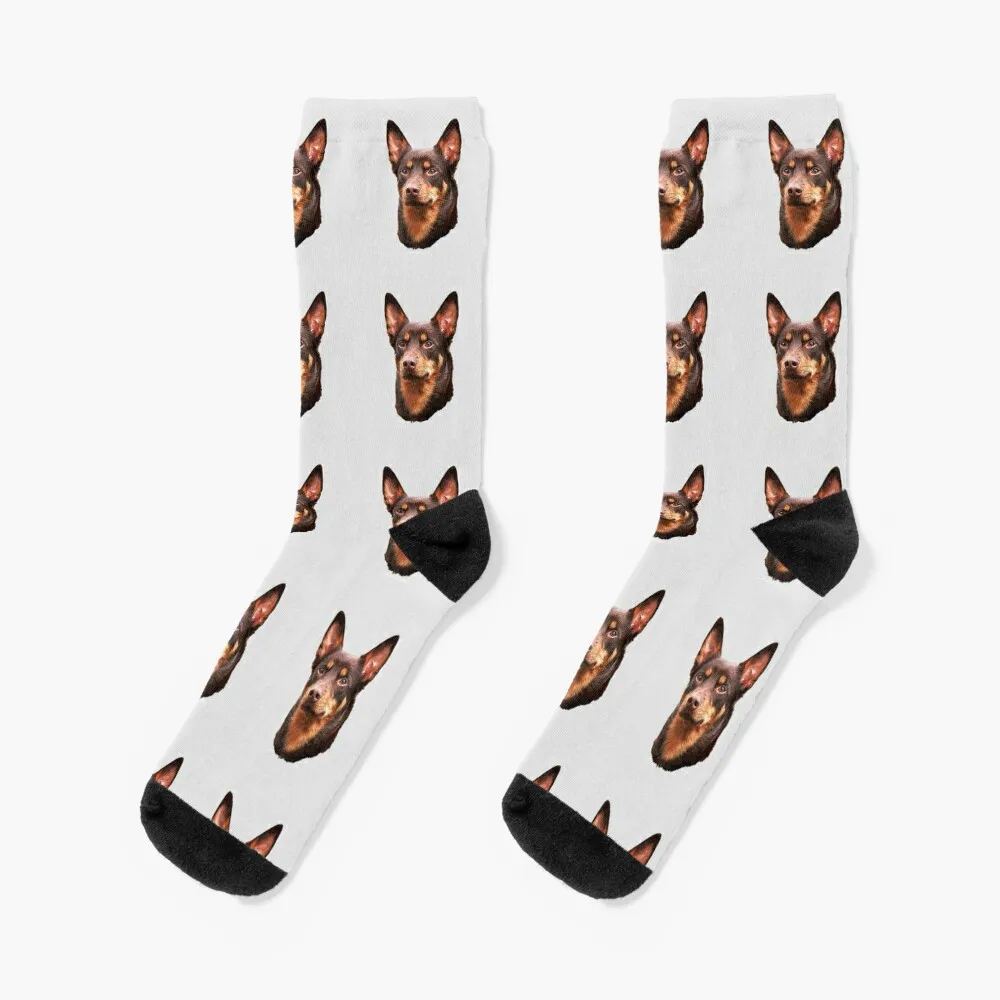 Kelpie - Australian Kelpie Socks Children's socks sport socks cartoon socks Girl'S Socks Men's girl kids canvas shoes cartoon lilo