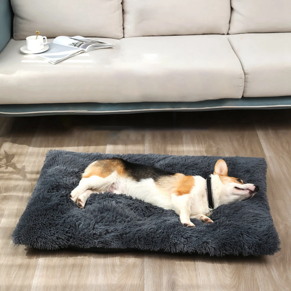 S202952a6f0014c22a33465ecad010f119