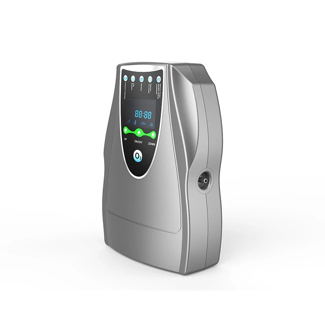 가정의 위생을 강화하세요: 가정용 제품 및 유아용품 소독용 800mg 소형 오존 발생기를 소개합니다