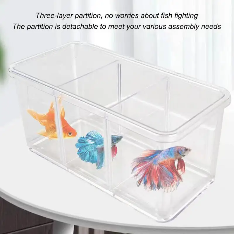 Betta Aquarium Transparent Fish tank Removable Dividers Small Fish Bowl Multi Compartment Layout decorative Aquarium