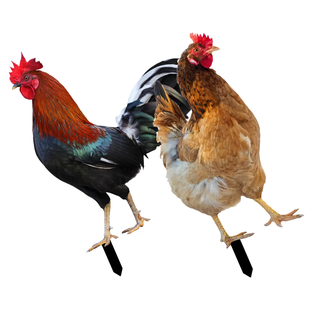 

Rooster Garden Stakes Acrylic Chick Signs Outdoor Hen Statue Chicken Yard Art Sculpture Ground Insert Ornament Backyard Patio