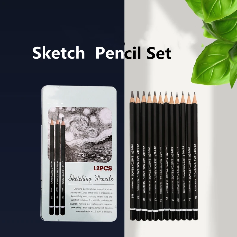 Professional Drawing Sketching Pencil Set 12Pcs Graphite Ideal for Drawing Art Sketching Shading Pencils for Beginners &  Artist