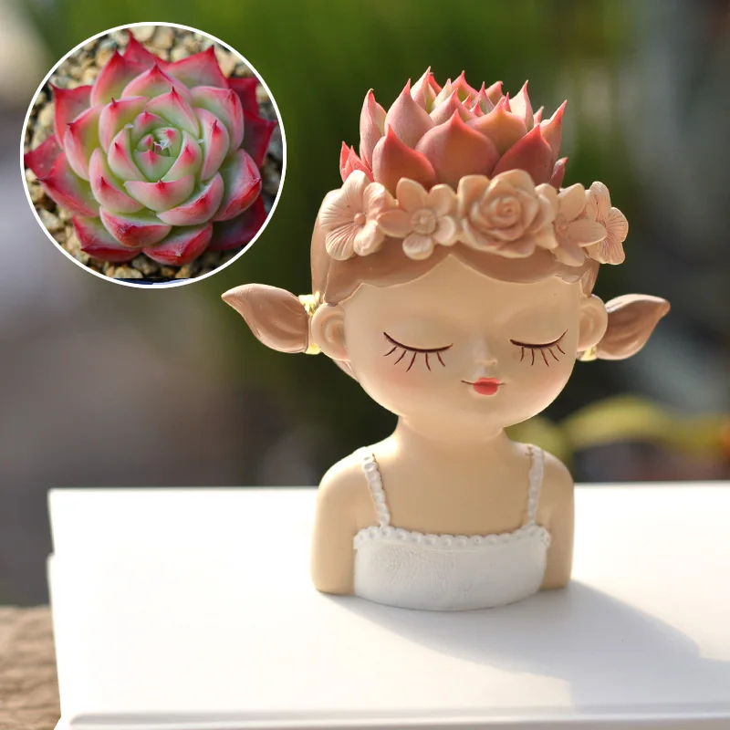 Enchanting Fairy Succulent Flowerpot Ornament