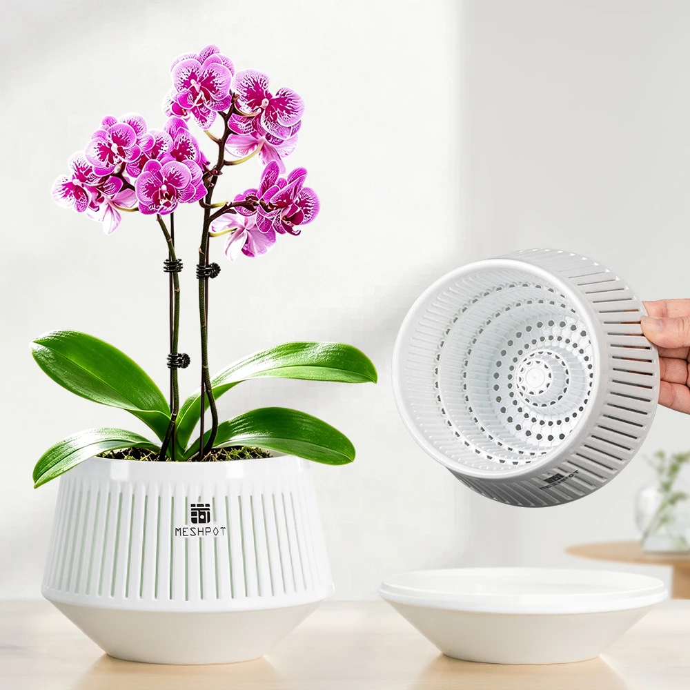 Mesh Orchid Pot with Drainage Holes 6
