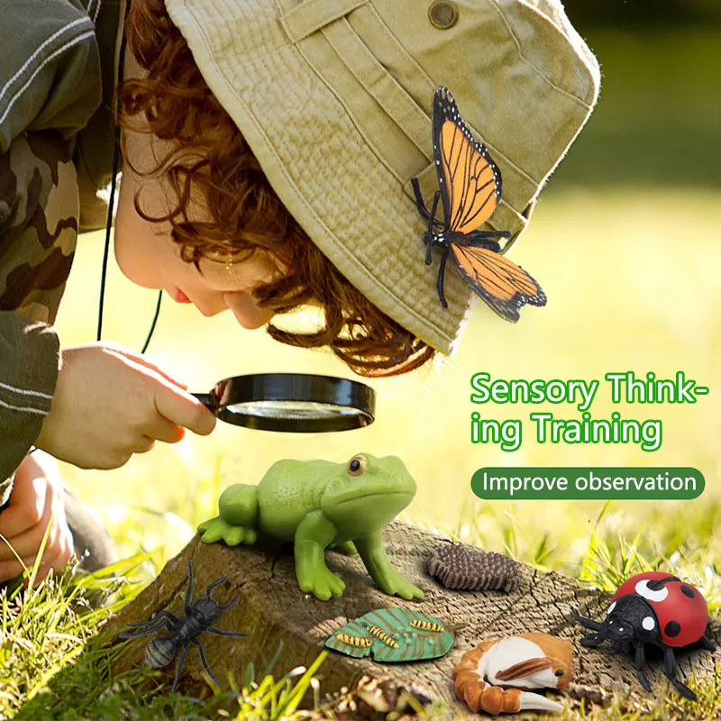 Children Cognitive Simulation Insect Educational Toys Animal Growth Cycle Boxed Set Ladybug Model Parish Learning Teaching Aids