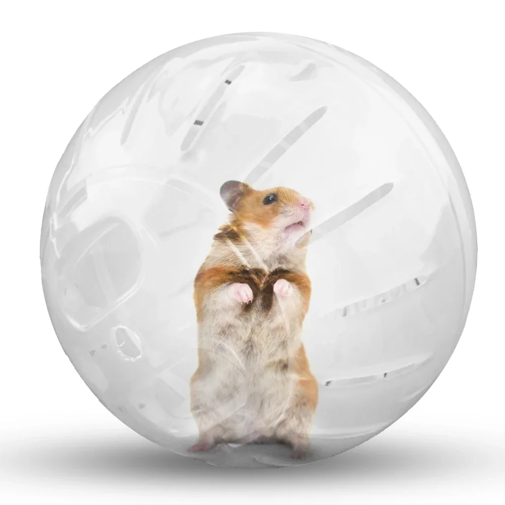 10/12 centimetri Criceto Palla Sportiva Palla di Sport All'aria Aperta Grounder Rat Piccolo Animale Domestico Roditore Mouse Palla Palline Ratto Criceto Gerbil Ratto Giocattolo di Esercizio - immagine 6