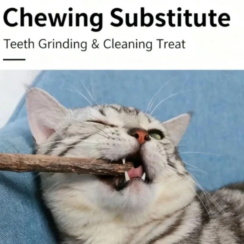 Natural Silvervine Sticks Chew Toys for Cats