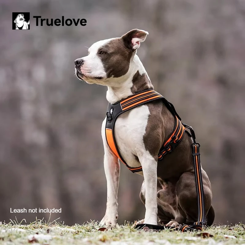 Arnés para Perro Truelove de Cuero PU Antideslizante, Ajustable, Antitirones, a Prueba de Escapes, para Exteriores, Oferta Especial TLH5551