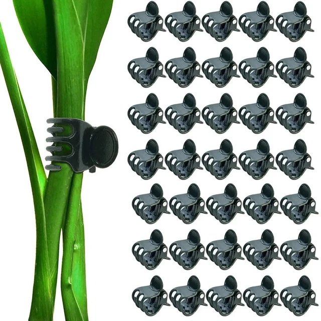 20/100/200 db Műanyag Növényi Tartó Klipek Orchidea Virágok Támogató Bilincs Növények Konzol Gyümölcs Zöldség Szorító Otthoni Kerti Szerszám