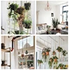 Green Plant Hanging Basket 6