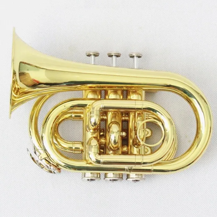 Gold Lacquer Pocket Trumpet Cheap Stainless Steel Valves Bb Pocket Trumpet Brass