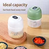 Electric Garlic Purer 100/250ML Mini Electric Garlic Chopper USB Charging Ginger Vegetable Cutter Food Chopper Kitchen Tools 3