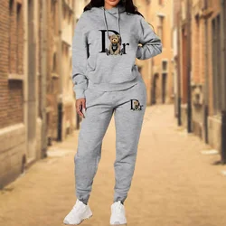 Women's Designer Aesthetic Tracksuit - High - Quality Sweatshirt & Sweatpants Set - XXXL (Gray)