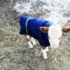 Cow Calf Warm Coat Waterproof Calf Vest Winter Apparel for Outdoor Activities and Protection from Rain and Snow 5