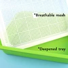 Seed Germination Tray With Lid 3