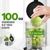 W Slow Masticating Juicer Machines for Whole Fruits and Vegetables, 2