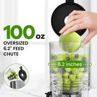 W Slow Masticating Juicer Machines for Whole Fruits and Vegetables, 2