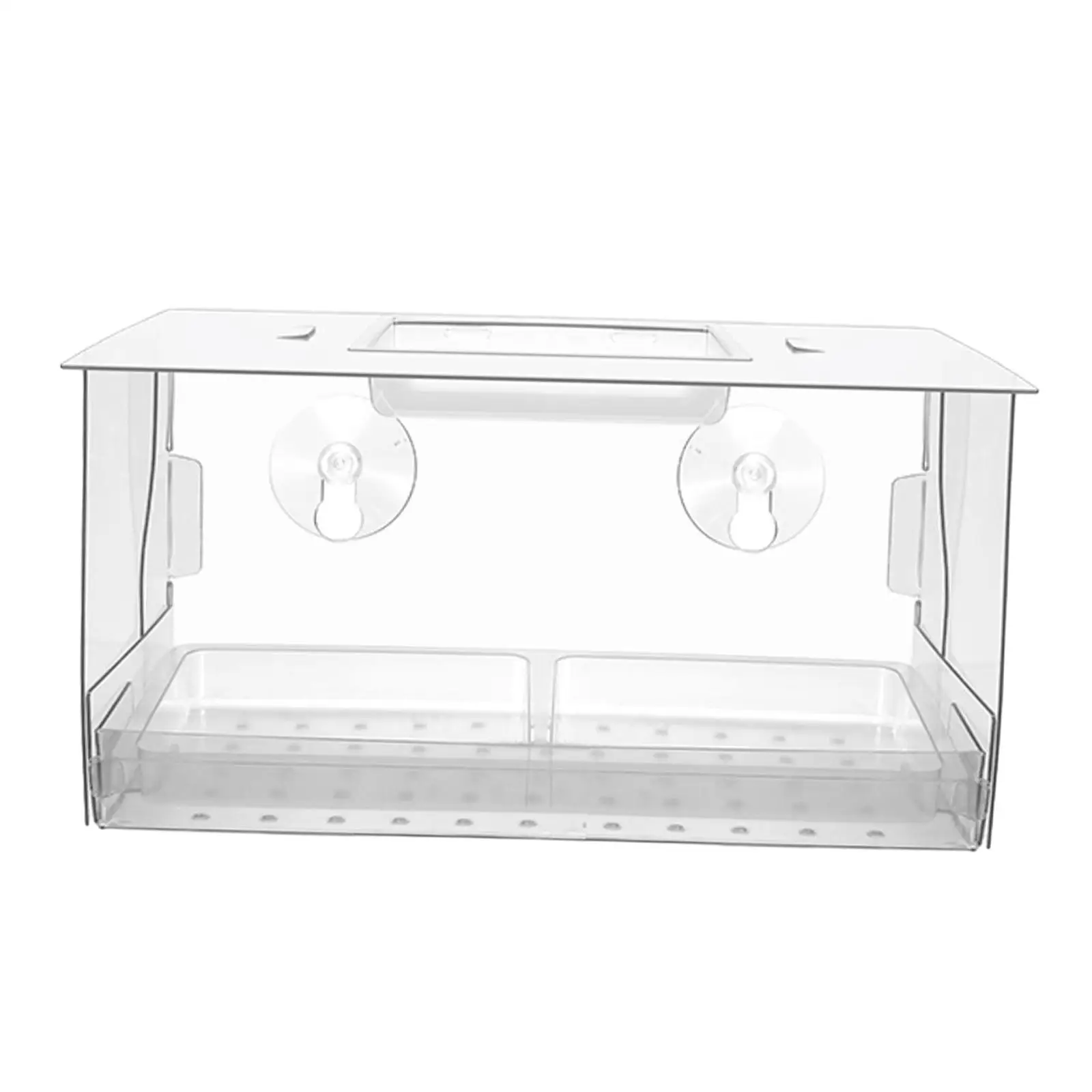 Window Bird Feeder Bird Watching Outdoors Birdfeeder Clear House for Wild Birds Bluebird Chickadees Viewing Finches