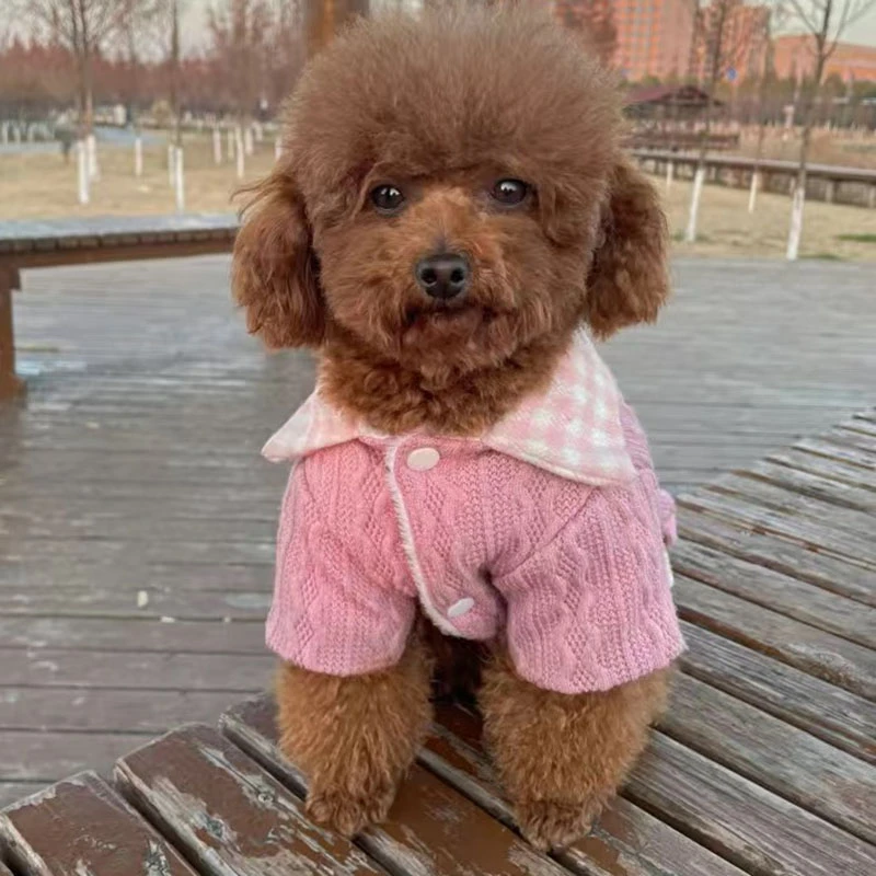 Perros modelos de invierno de punto de lana de abrigo de algodón cálido para gato pequeño mascotas Bulldog chaqueta para Chihuahua Accesorios|Abrigos y chaquetas perro| - AliExpress