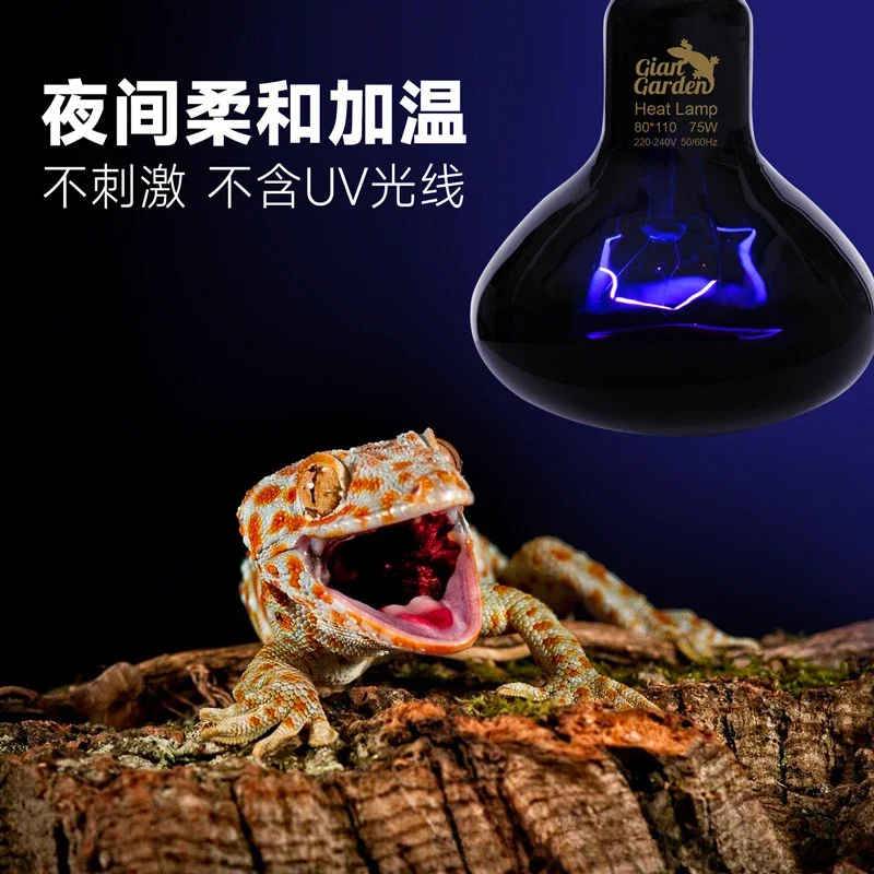 Pet Heating Lamp Reptile Snake Heat Night Light 25W 50W 75W 100W Lizards Snakes Reptiles Lamp Heat Bulb Feeding Box Supplies