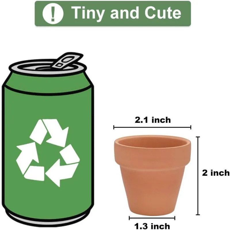 Terracotta Serenity Succulent Pots 5