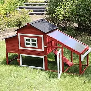 chicken coop