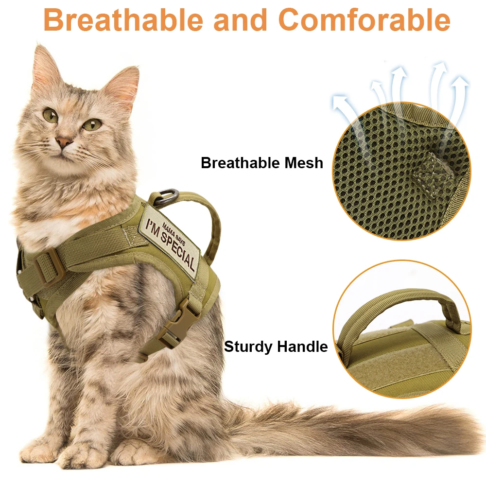 Harnais Tactique Personnalisé Pour Chat, Gilet Militaire Réglable À  Dégagement Rapide Avec Laisse Pour Chat, Harnais En Nylon, Fournitures Pour  Chats - Chat Gilets - AliExpress