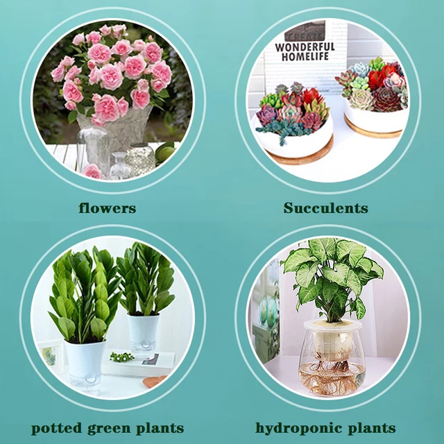 Huminsav Folyékony Műtrágya Otthoni Kertészeti Talaj Tápanyag -Oldat Szerves Virág Zamatos Cserepes Gyökérzet 40 Ml - Image 3